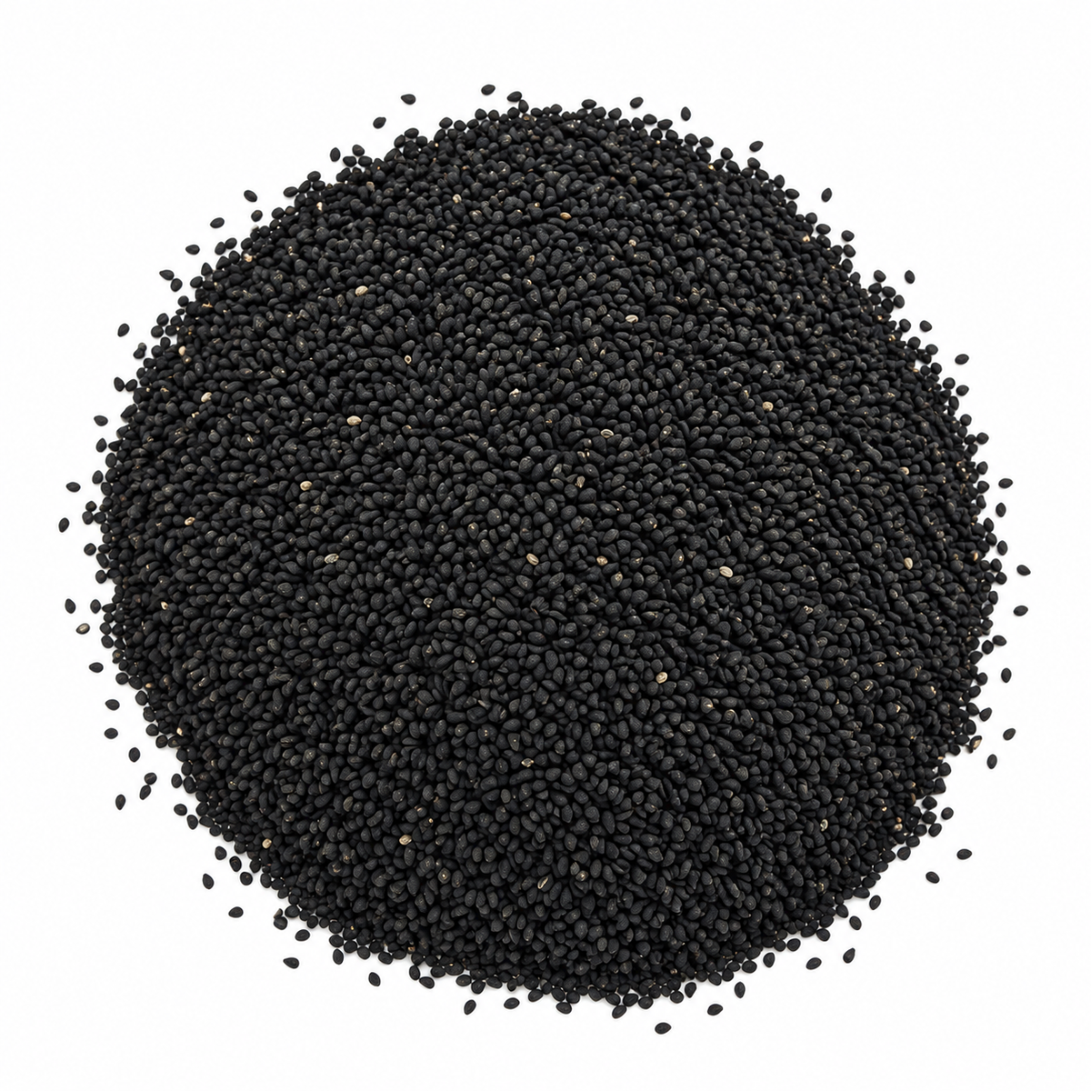 Premium Kalonji (Nigella Seeds)